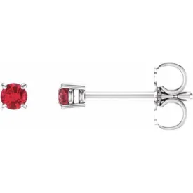 14K White 2.5 mm Natural Ruby Stud Earrings with Friction Post