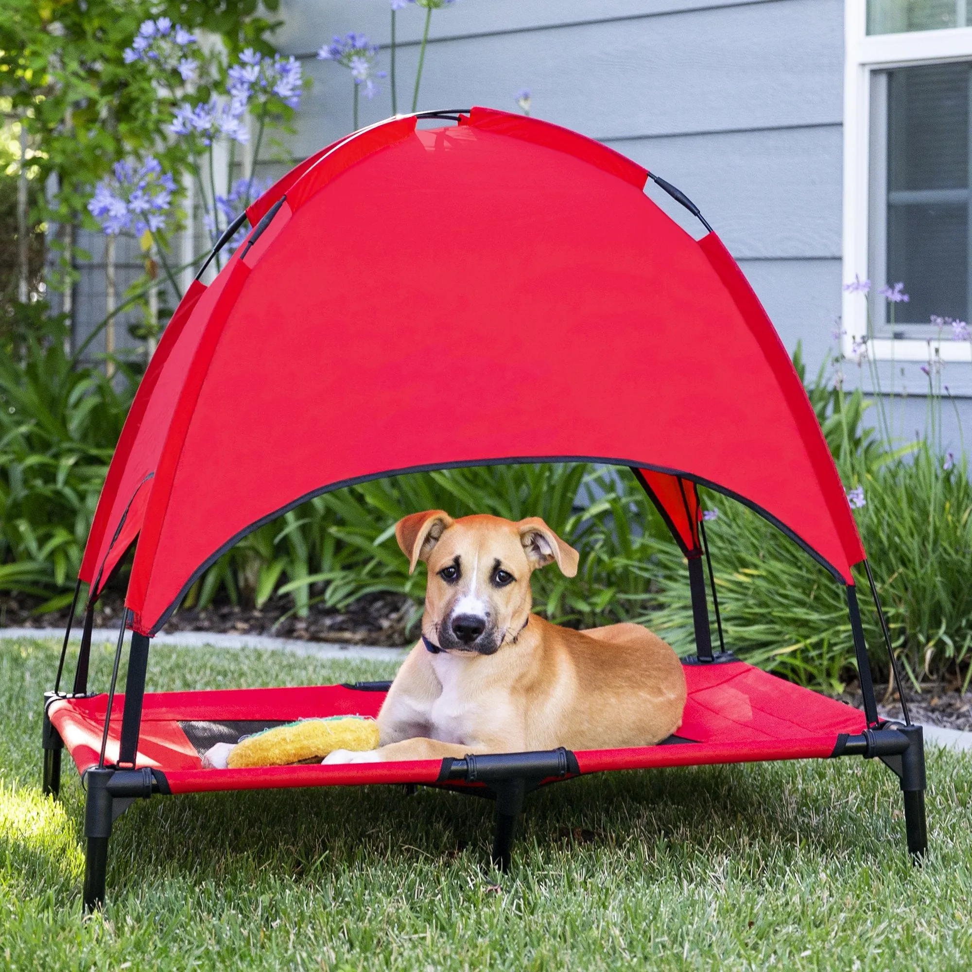 30in Raised Cooling Dog Bed w/ Removable Canopy