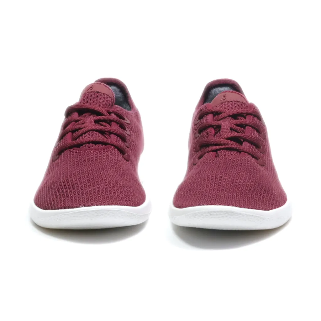 Allbirds Tree Runners Low-Top Sneakers Fabric Maroon Colour For Women