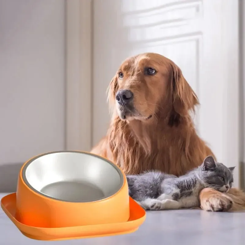 Anniepaw Non-Skid Cat Food Bowl Tilted Angle No-Spill Cat Food Bowl Dog Cat Food Bowl