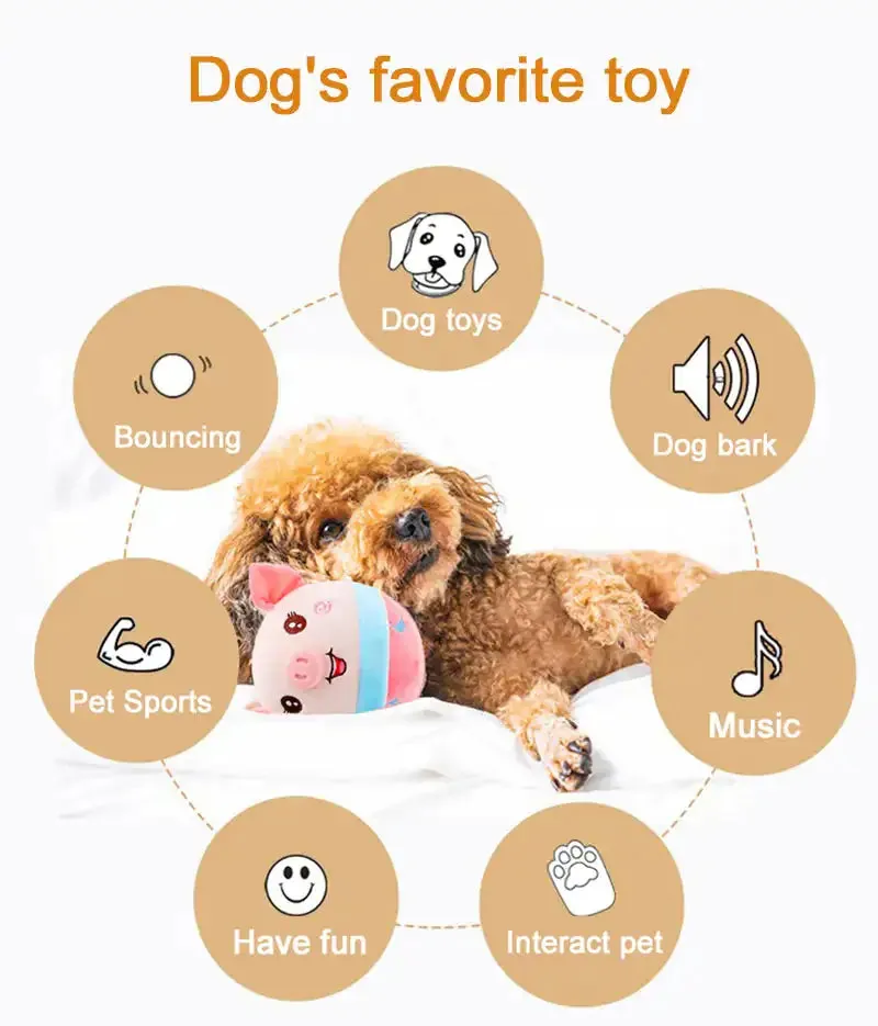 Auto Bounce Squeaky Dog Toy