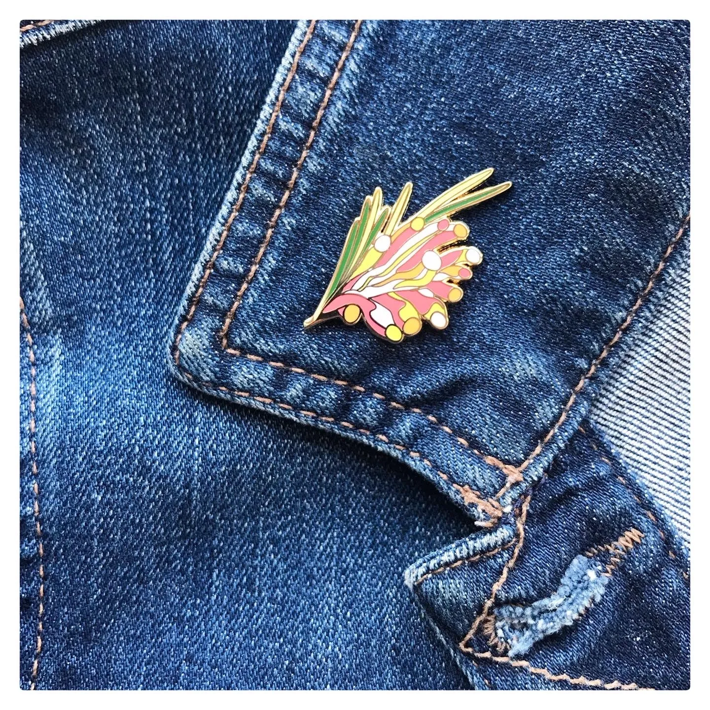 Braw Paper Co. - Various WA Flora and Fauna Enamel Pins (tri057)