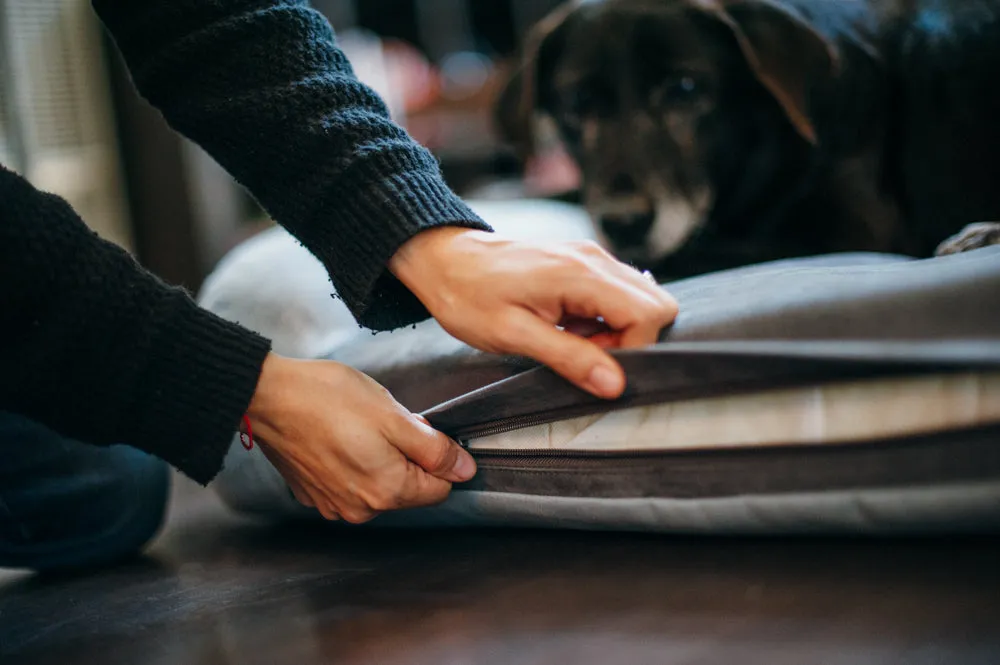 California Dreaming Memory Foam Bed