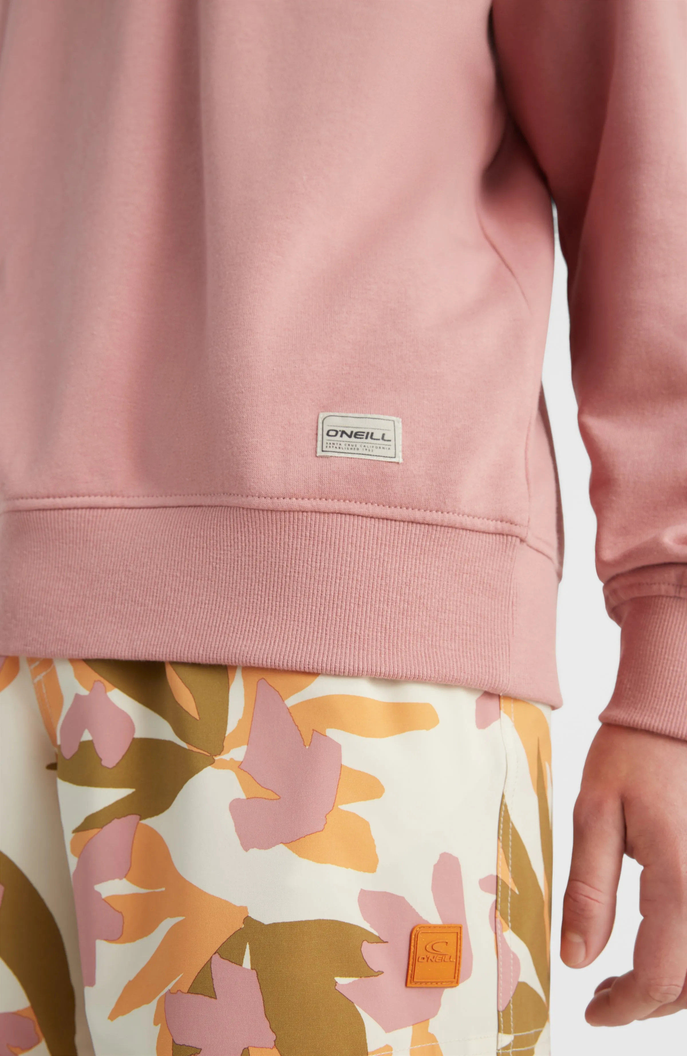 Camorro Crew Sweatshirt | Ash Rose