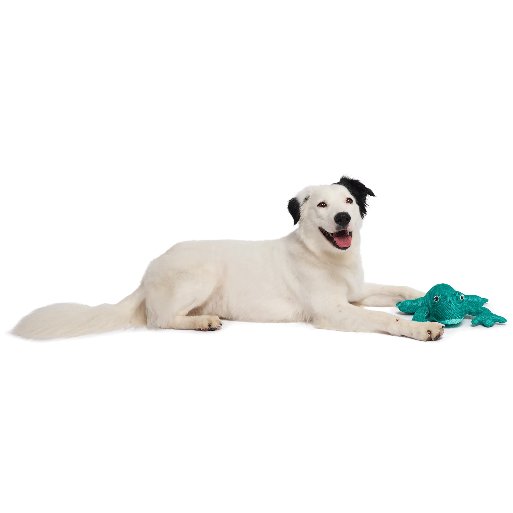 Canada Pooch Chill Seeker Frog Dog Toy