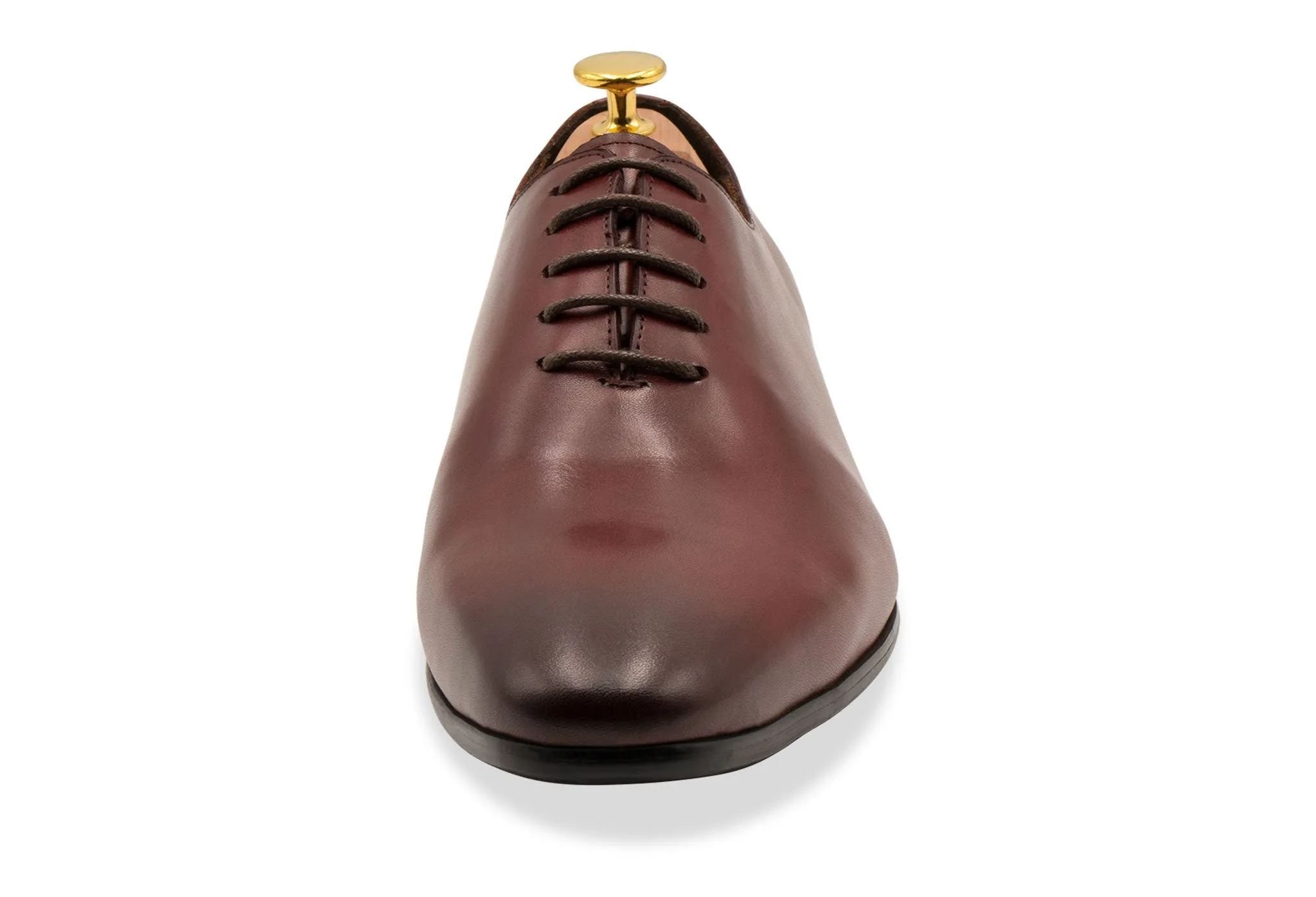 Carlota Wholecut Oxblood Oxford