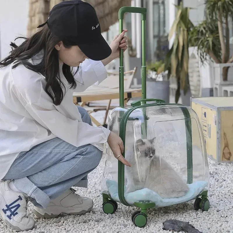 Cat Carrier Portable Bag