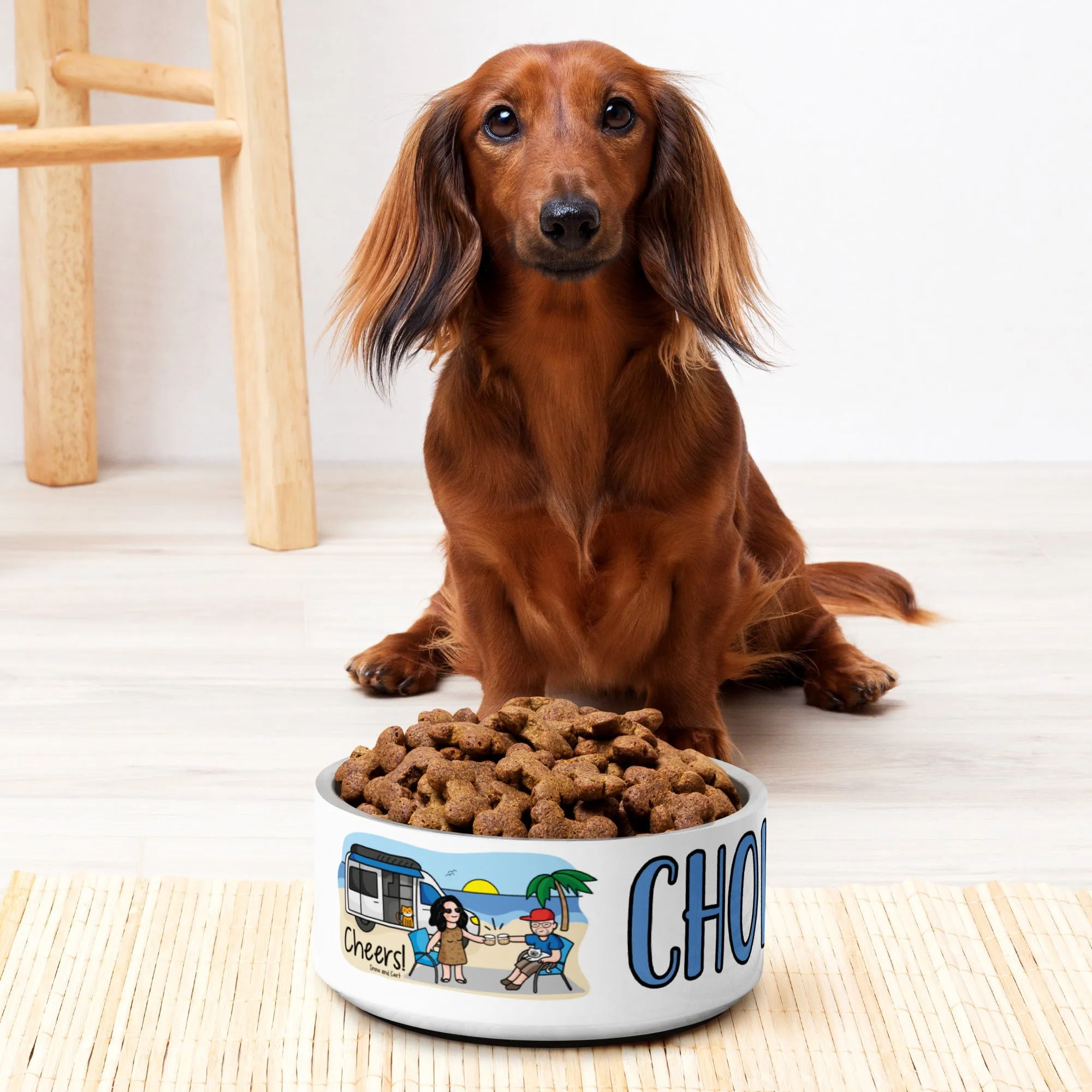 CHEERS - CHOW TIME Pet bowl