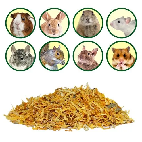 Chinchilla Treat Sampler