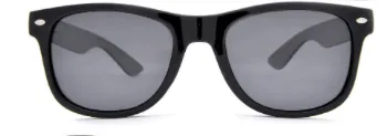 Classic Black Wayfarer Sunglasses