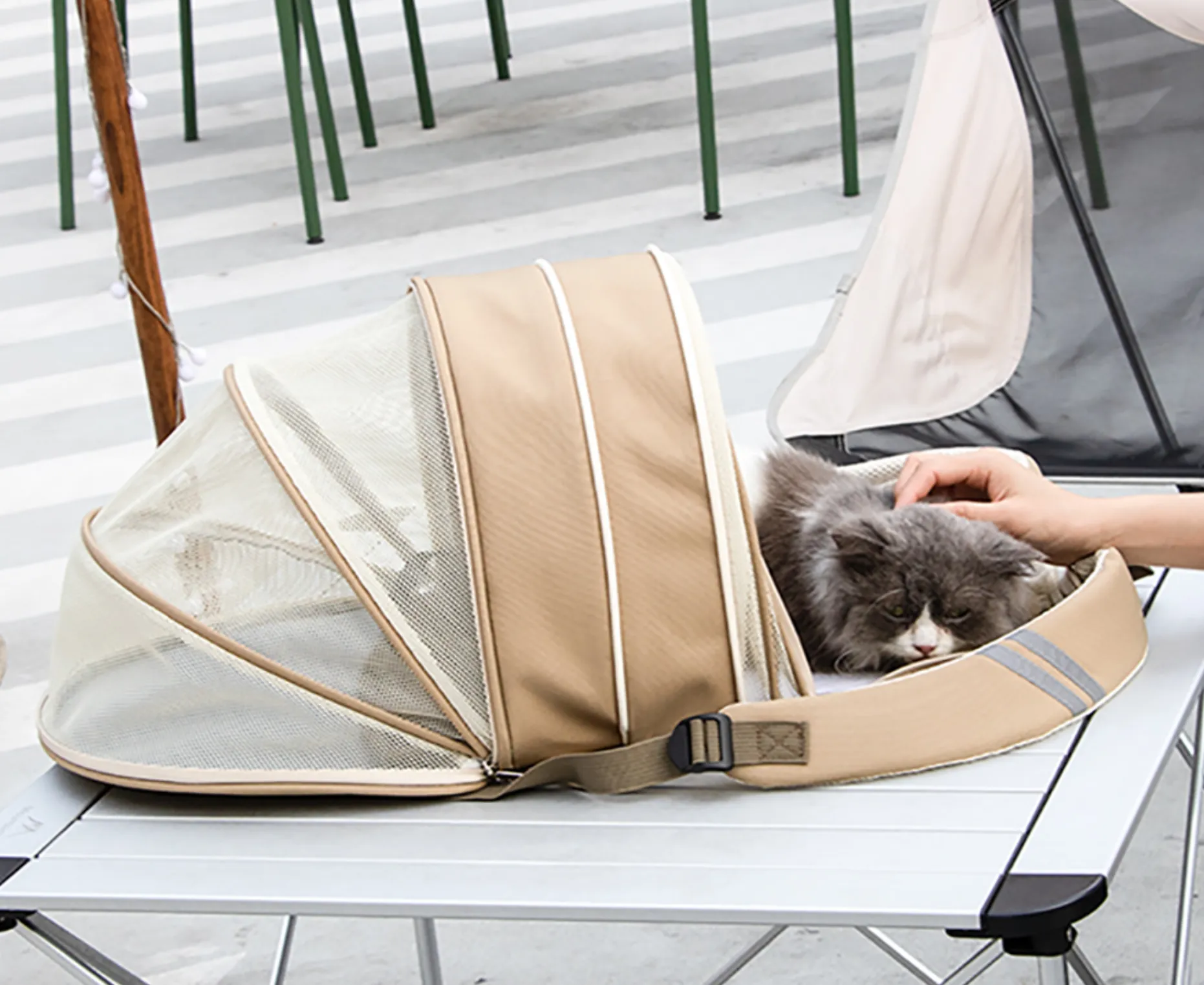 Clear Cat Backpack - Transparent & Expandable