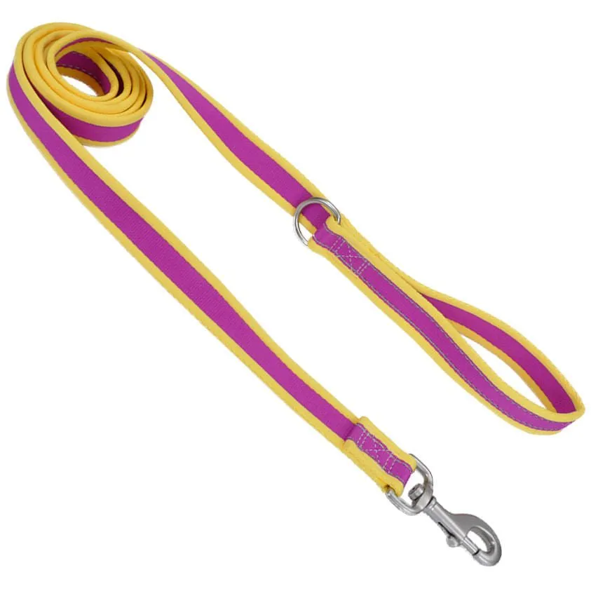 Coastal Pet Attire Pro Nylon Dog Leash, 6' x 1"