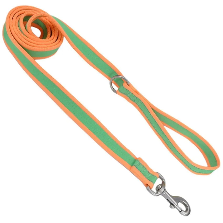 Coastal Pet Attire Pro Nylon Dog Leash, 6' x 1"