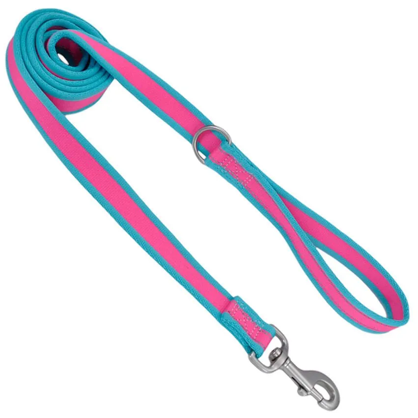 Coastal Pet Attire Pro Nylon Dog Leash, 6' x 1"