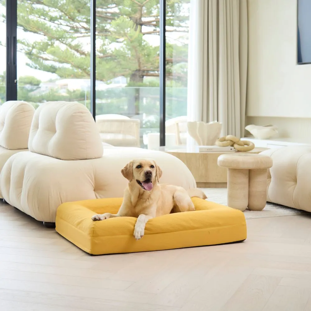 Cooling Dog Bed - Amber Memory Foam