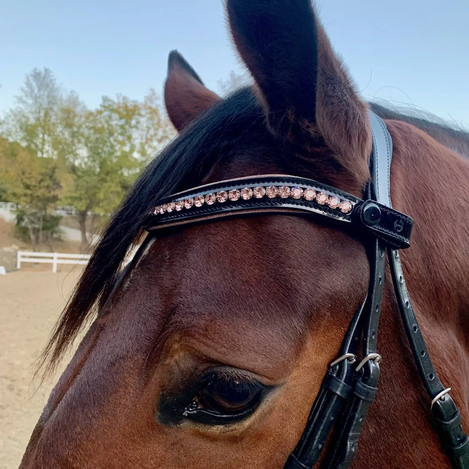 Crystal Patent Browband - Glittering Rose