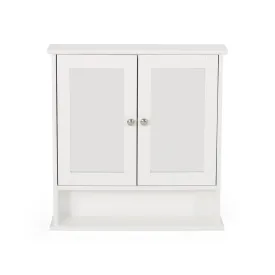 Dillyn Contemporary 2 Door Mirror Medicine Cabinet