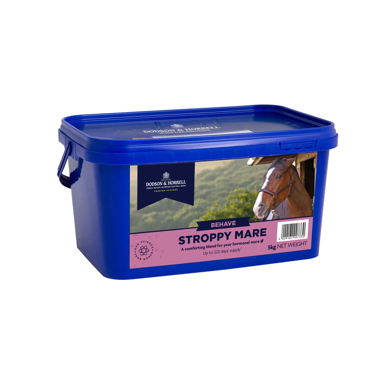 Dodson & Horrell Stroppy Mare