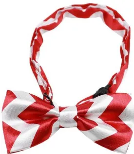 Dog Bow Tie Red Chevron