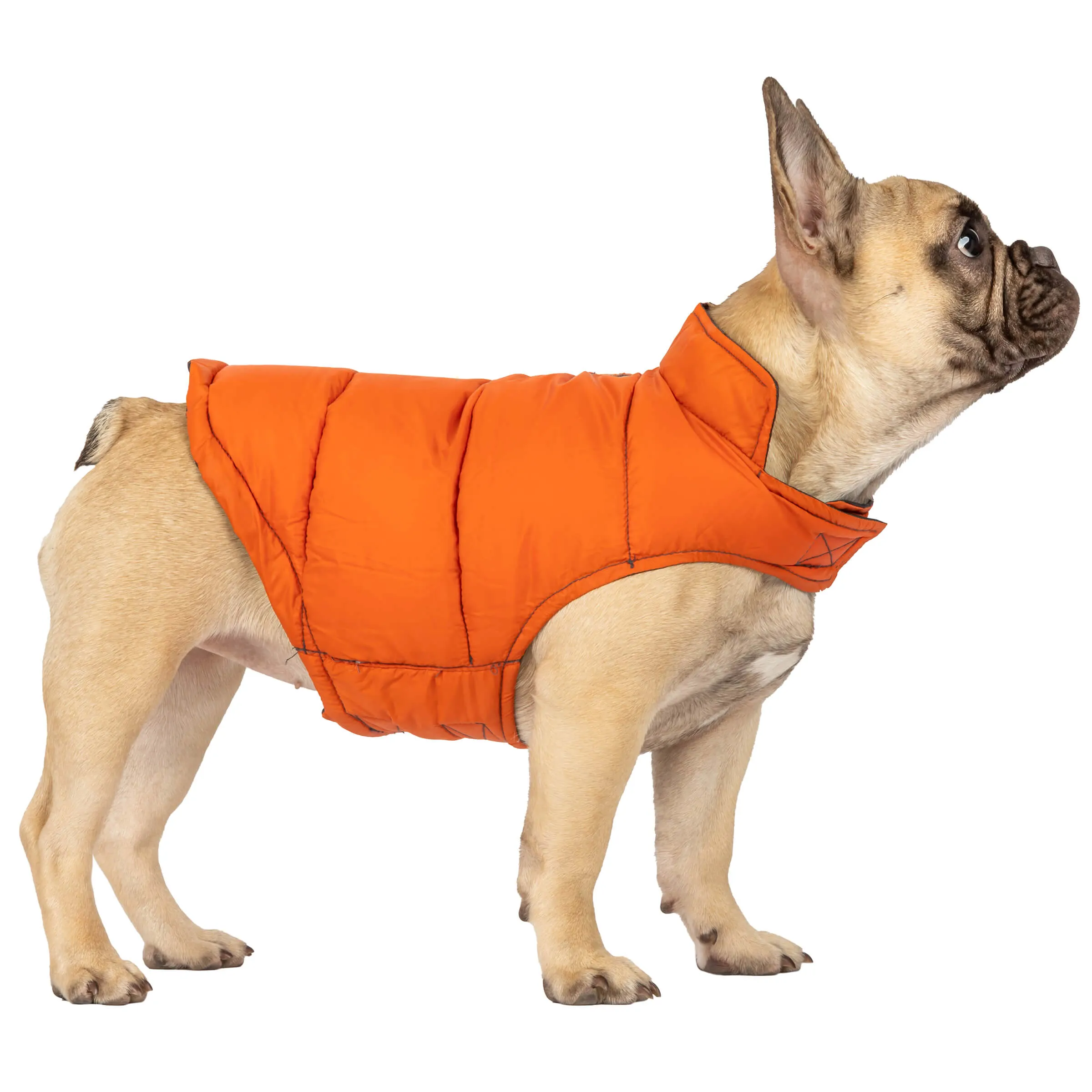 Dog Down Reversible Mock Jacket