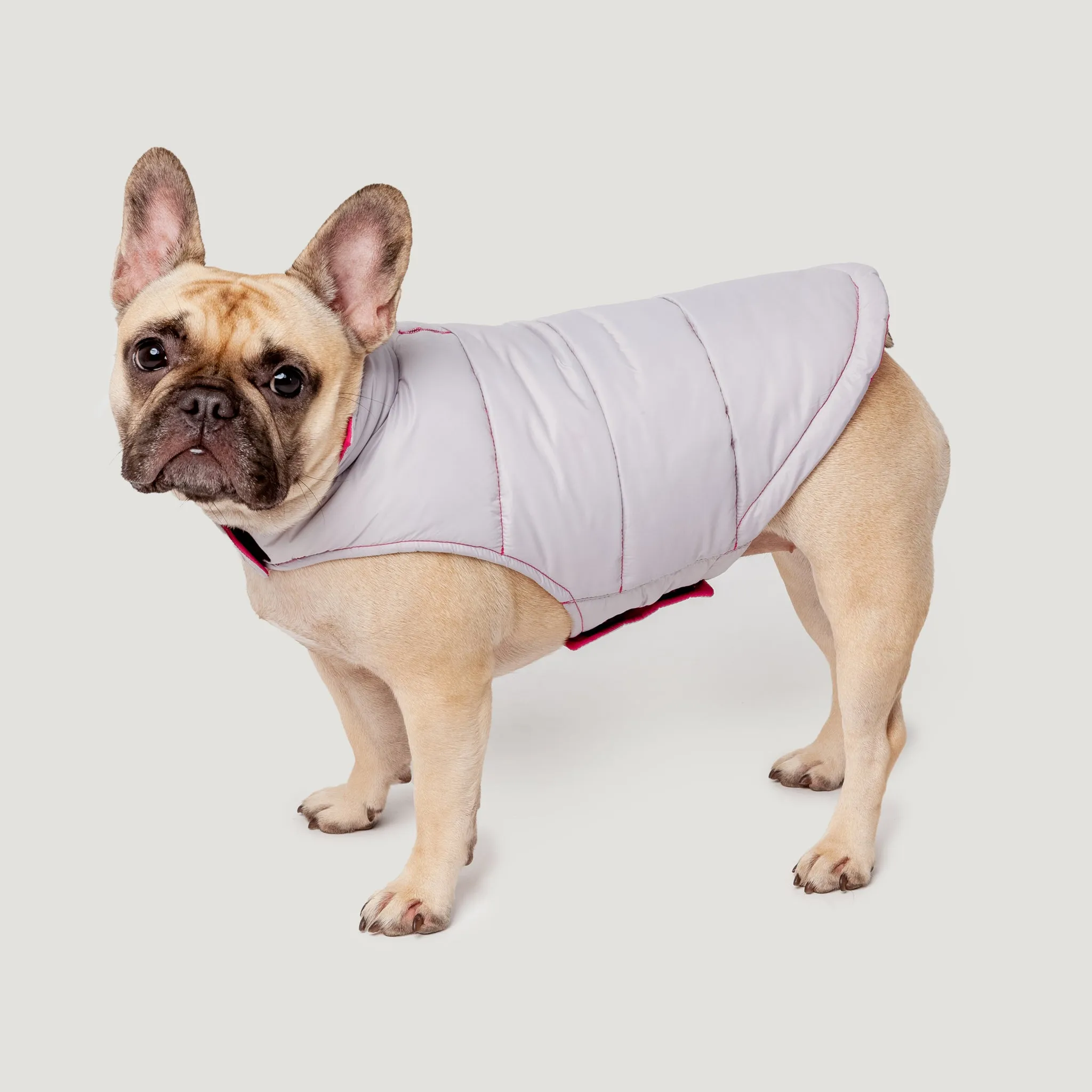 Dog Down Reversible Mock Jacket