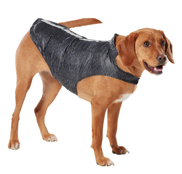 Dog Down Reversible Mock Jacket