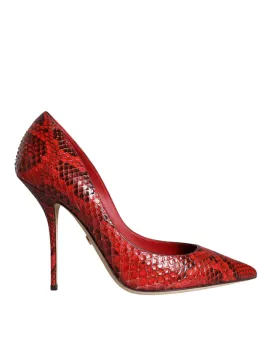 Dolce & Gabbana Python Leather Pumps In Red