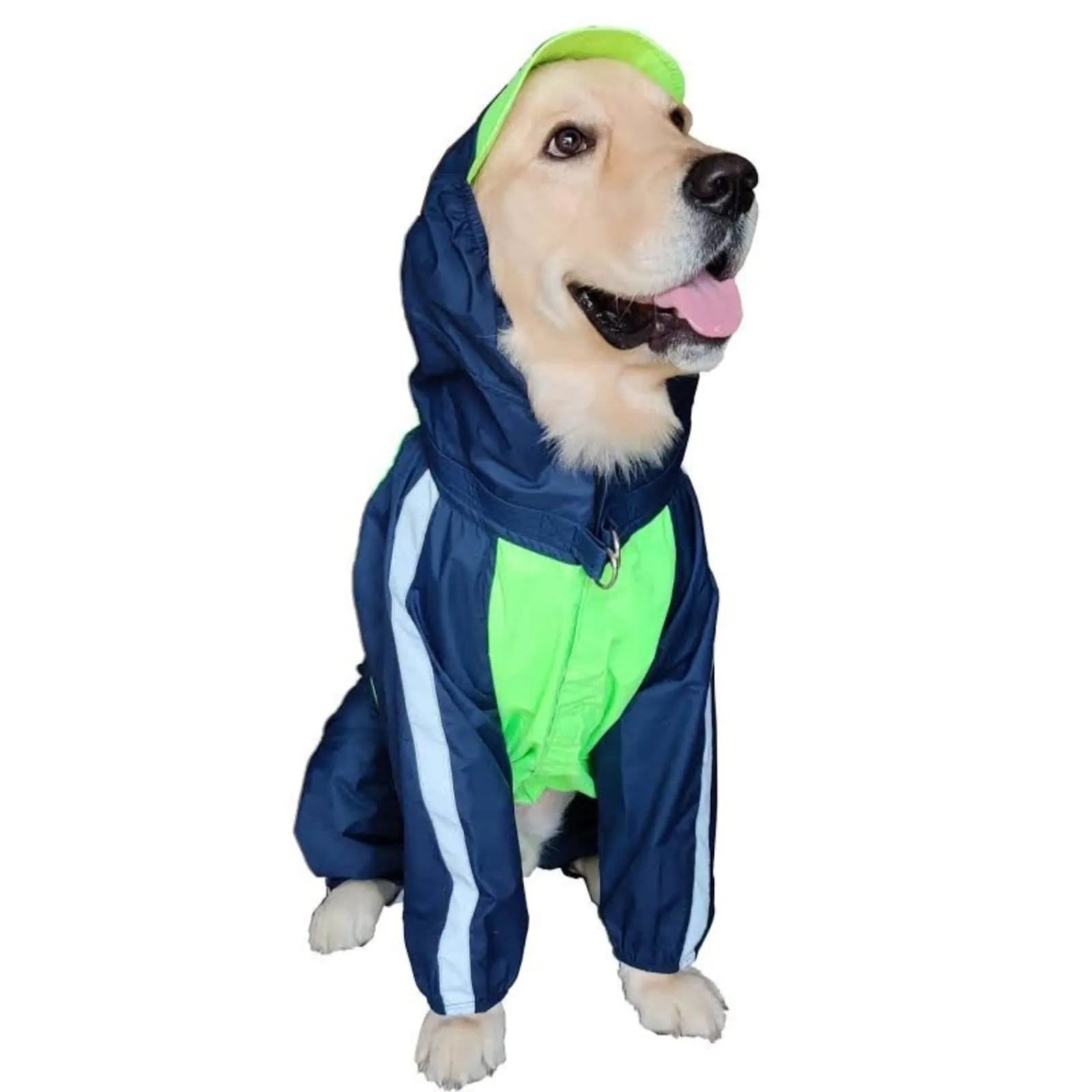 Doxters Lab Raincoat Full Coverage