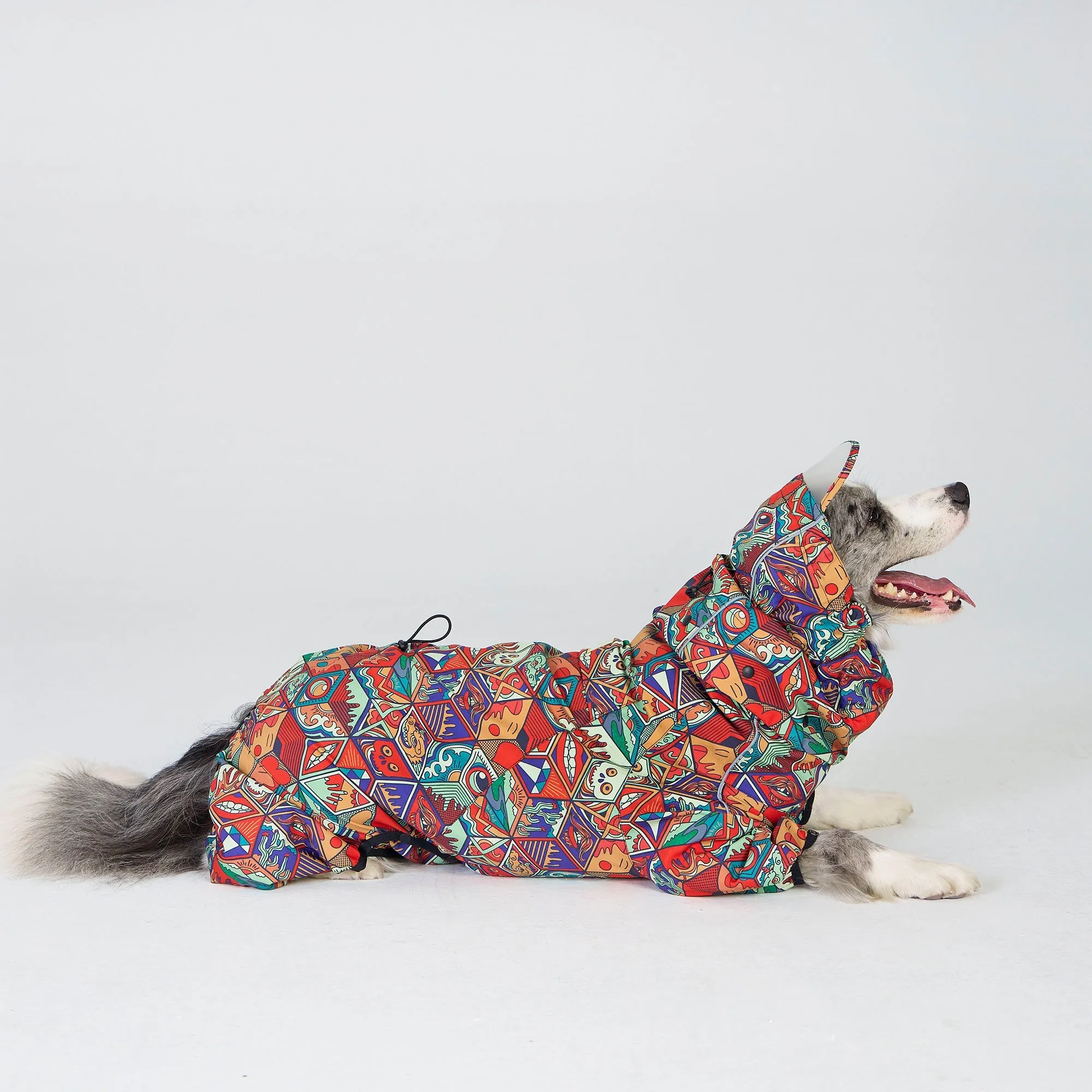 Dragon Icon Dog Raincoat