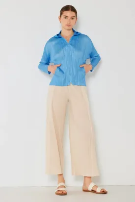 ed Wide-Leg Pants with Side Pleat Detail