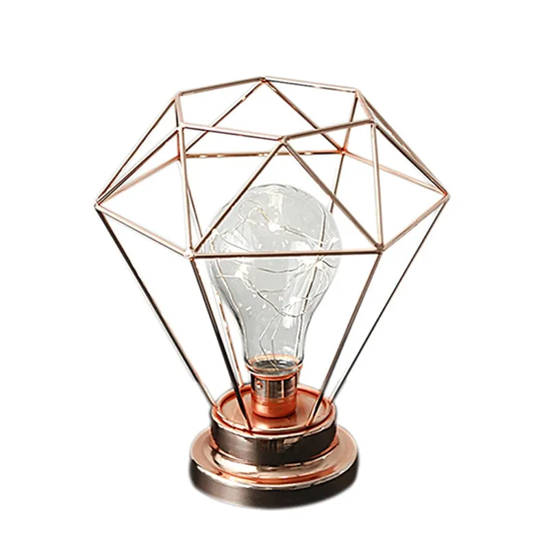 Edison Style Metal Terrarium Lamp Warm White LEDs Wire Lights Battery Operated Night Lamp