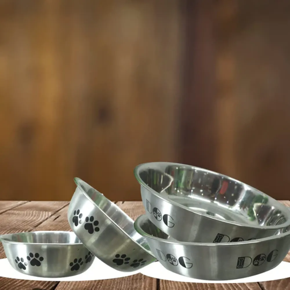 Emily Pets Stainless Steel Anti Skid Bowl for Dogs