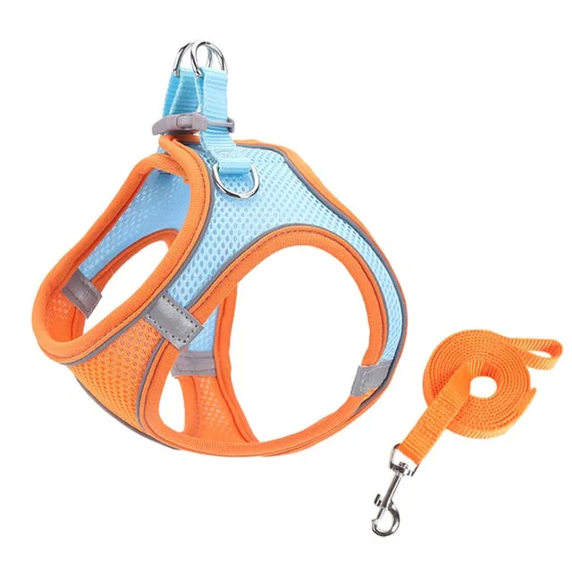 Escape Proof Small Pet Harness Leash Set