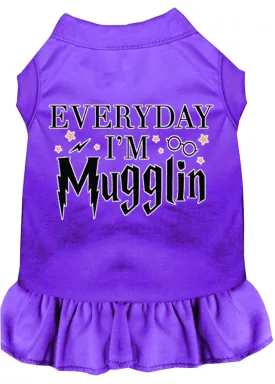 Everyday I'm Mugglin Screen Print Dog Dress Purple Med (12)