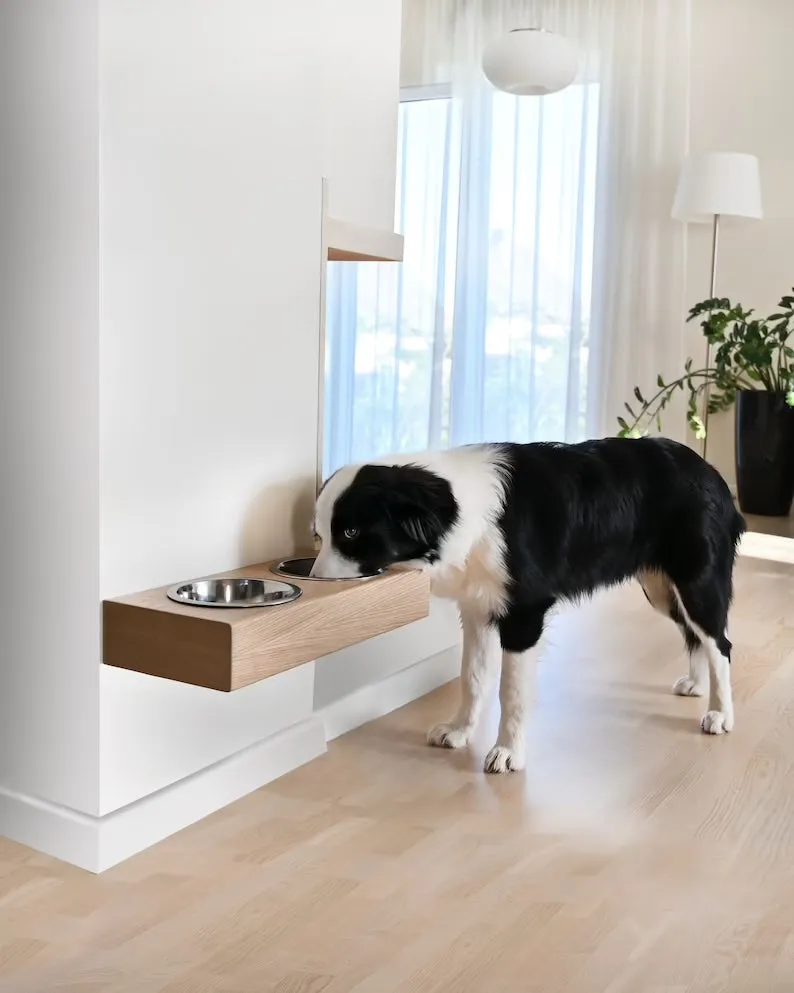 Floating Pet Feeder