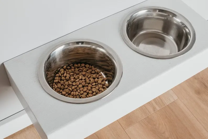 Floating Pet Feeder