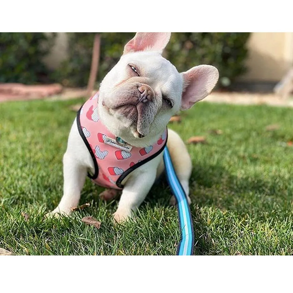 Frenchiestore Luxury Leash | Frenchie Love in Teal