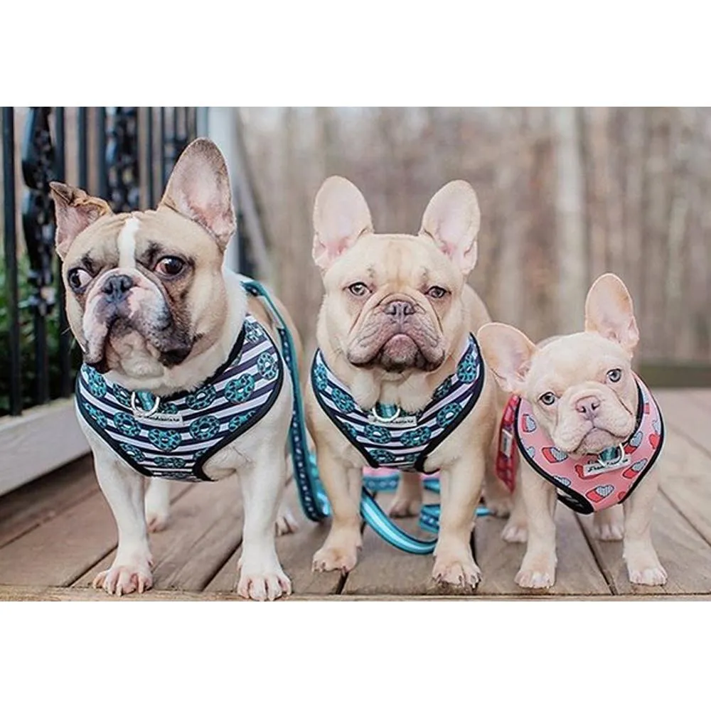 Frenchiestore Luxury Leash | Frenchie Love in Teal