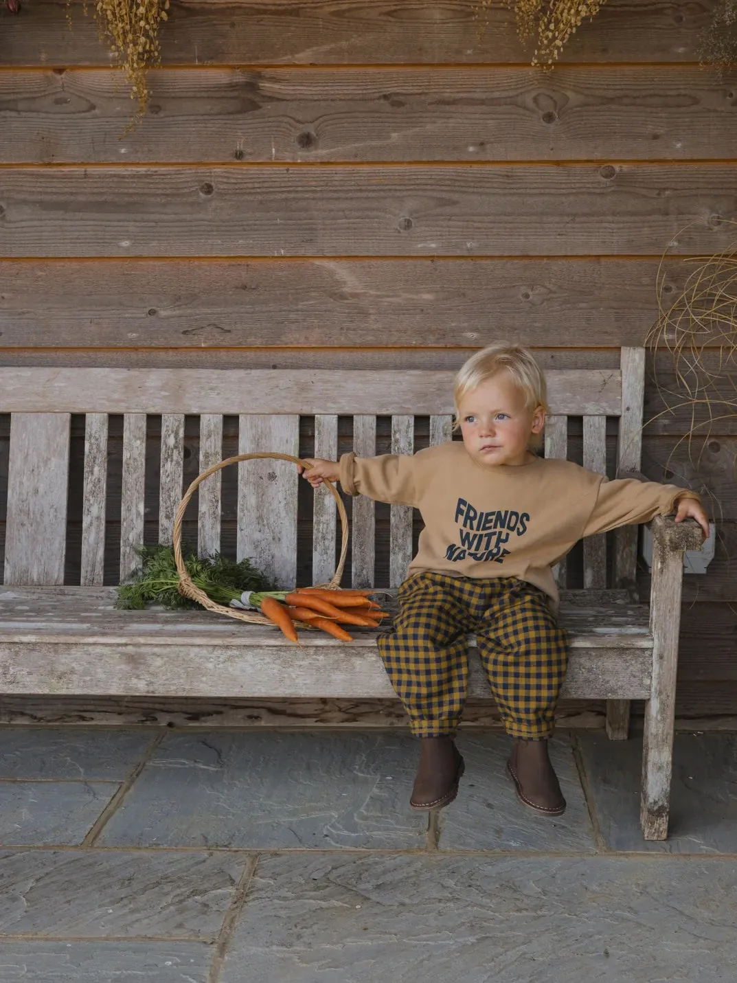 Gingham Carrot Pant (Blueberry)