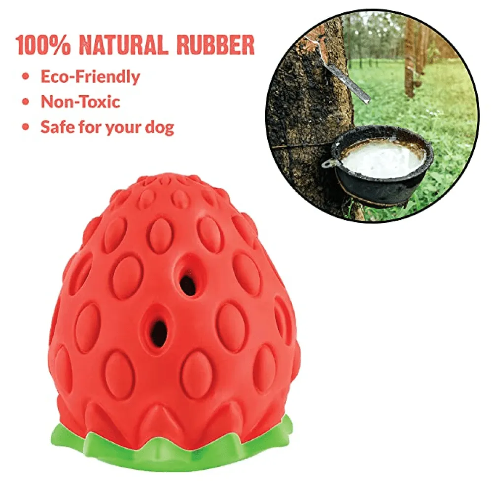 Goofy Tails Dumbbell Treat Dispensing Interactive Toys and Strawberry shaped Natural Rubber Chew Toy for Dogs Combo