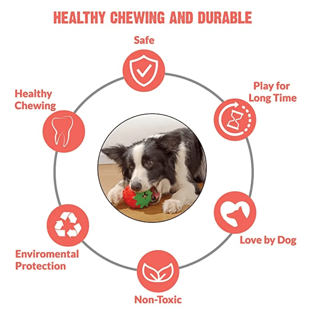 Goofy Tails Dumbbell Treat Dispensing Interactive Toys and Strawberry shaped Natural Rubber Chew Toy for Dogs Combo