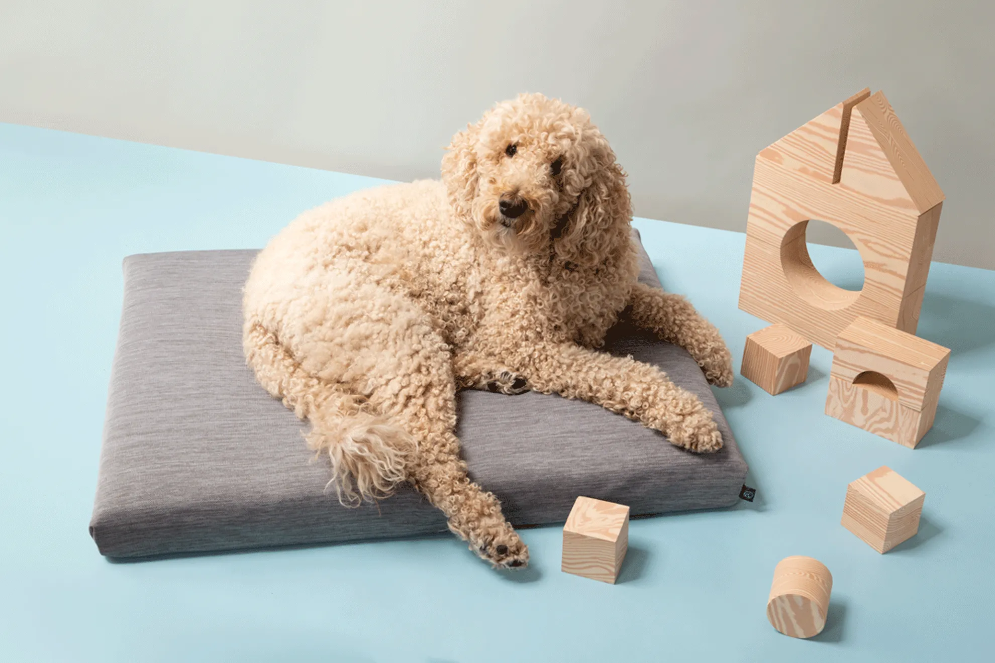 Gray | Modern Dog Bed or Bed Cover