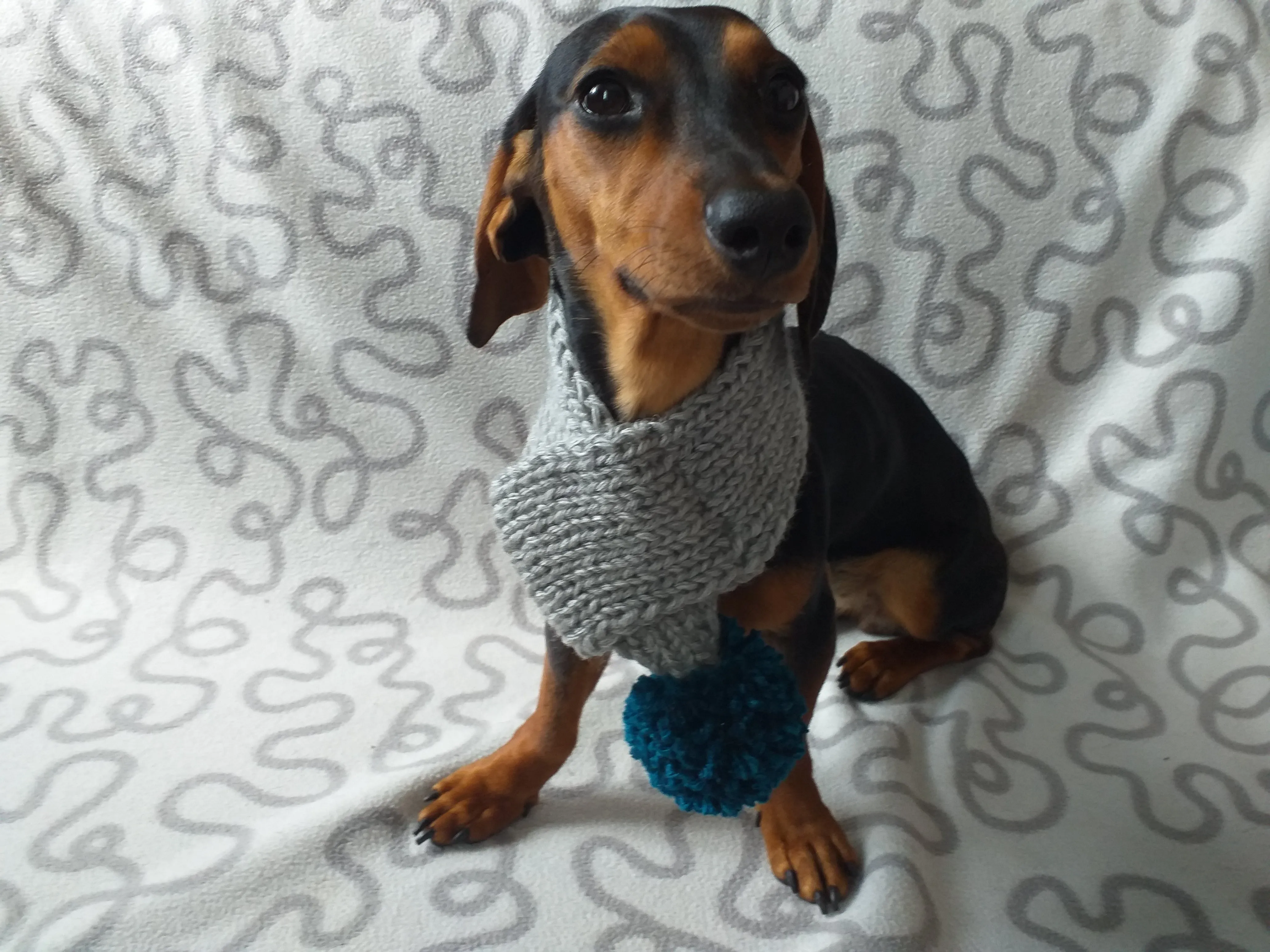 Handmade knitted scarf for dog