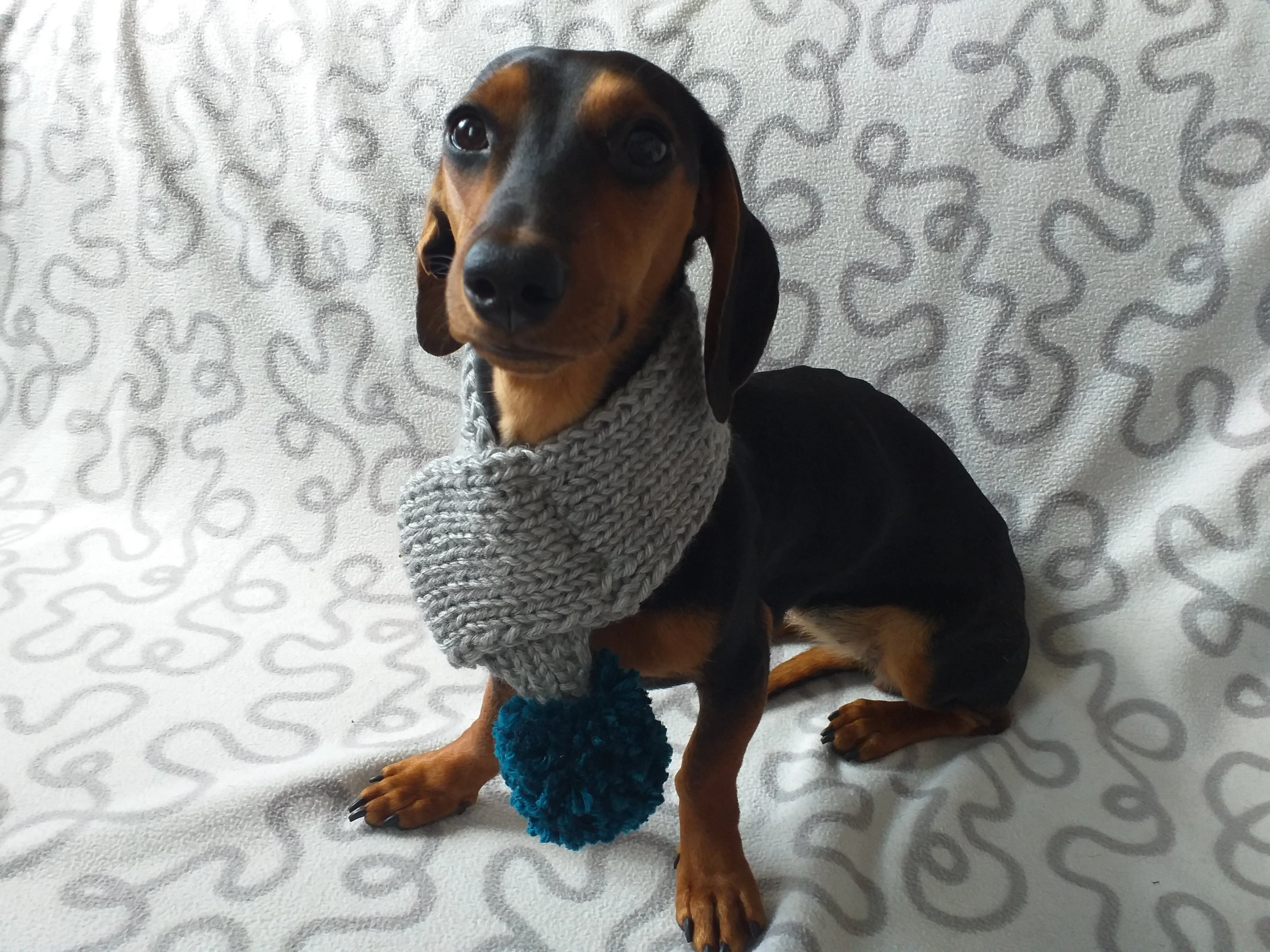 Handmade knitted scarf for dog