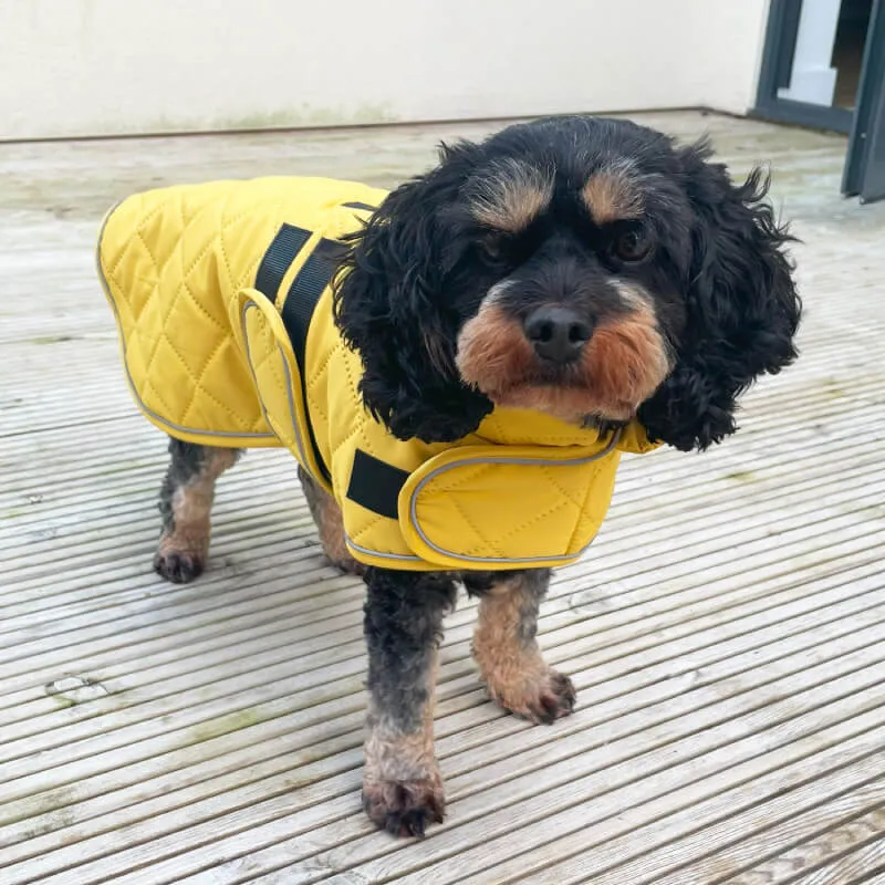 Happy Pet | Dog Coat | Mustard Quilted Classic Design