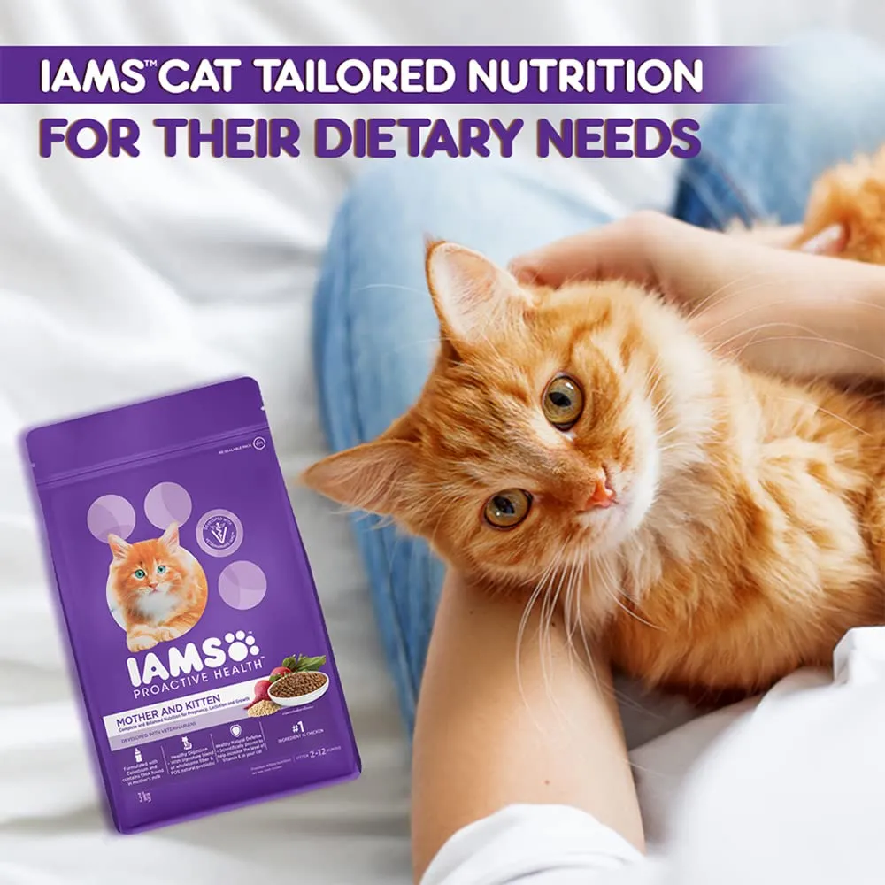 IAMS Proactive Health Chicken Premium Mother and Kitten Cat Dry Food