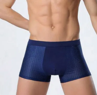 Ice Silk Men's Underwear / Mesh Boxer