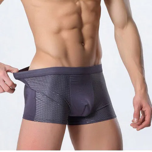 Ice Silk Men's Underwear / Mesh Boxer