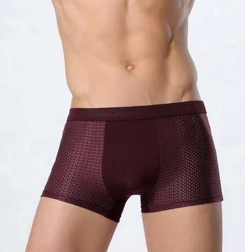 Ice Silk Men's Underwear / Mesh Boxer