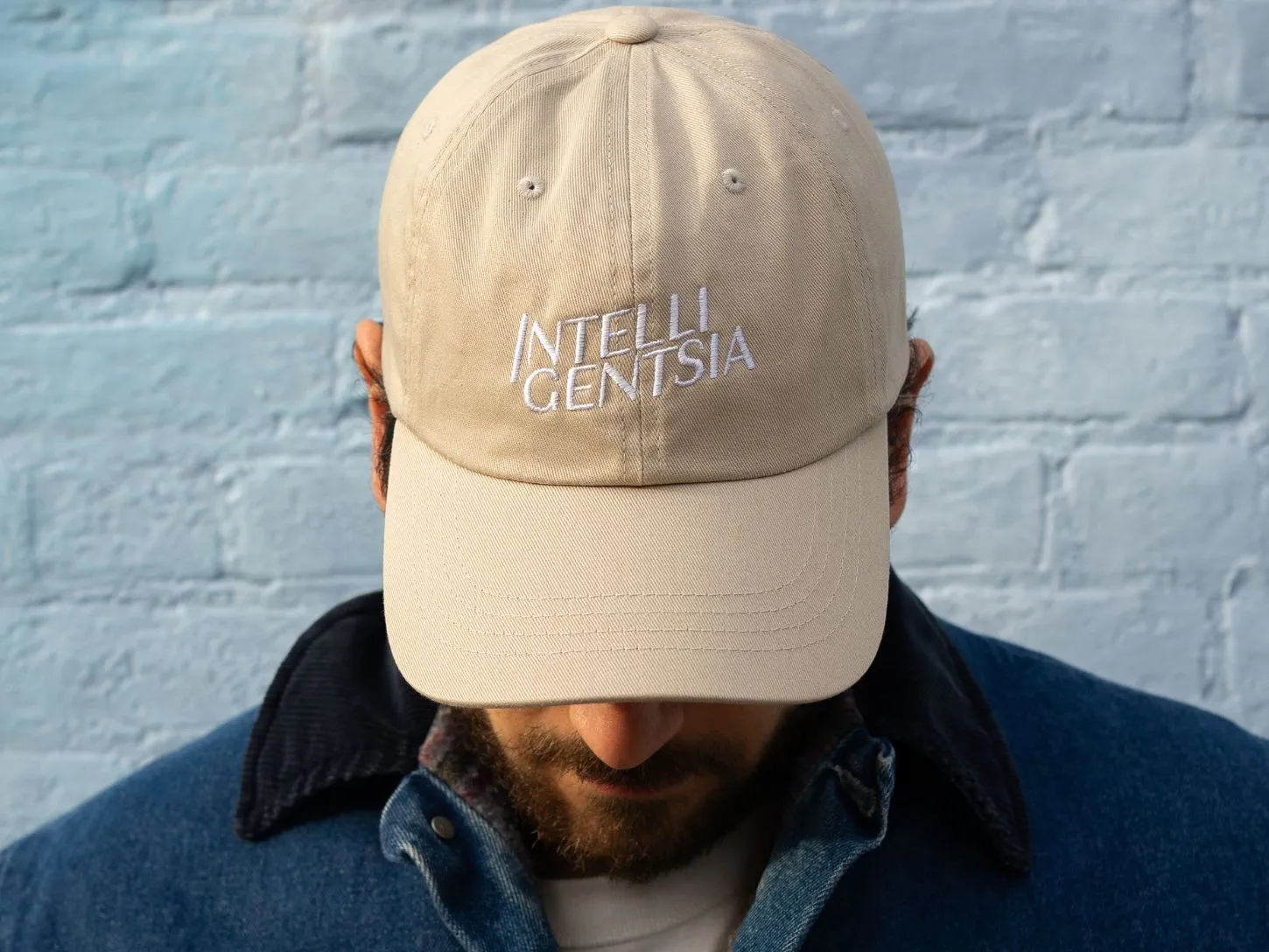 Intelli Dad Hat